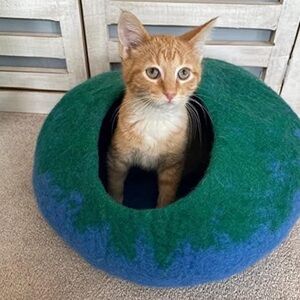 NEW cat cave - blue green LARGE